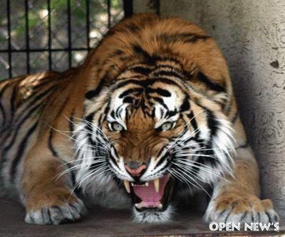 Алексей Одинцов