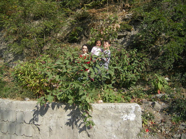 Ольга Грайворонская