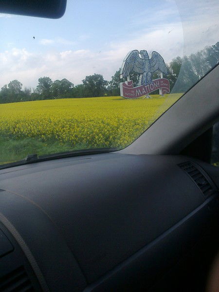 Алексей Лисанов