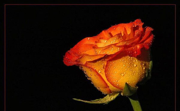 Гаухар Ахметжанова