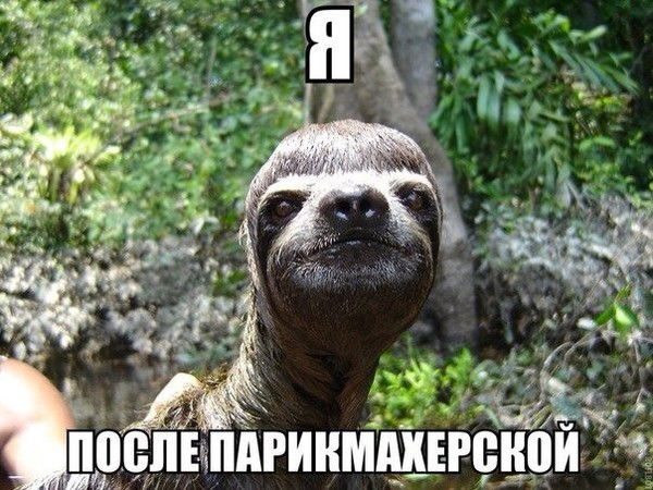 Ирина Потапова