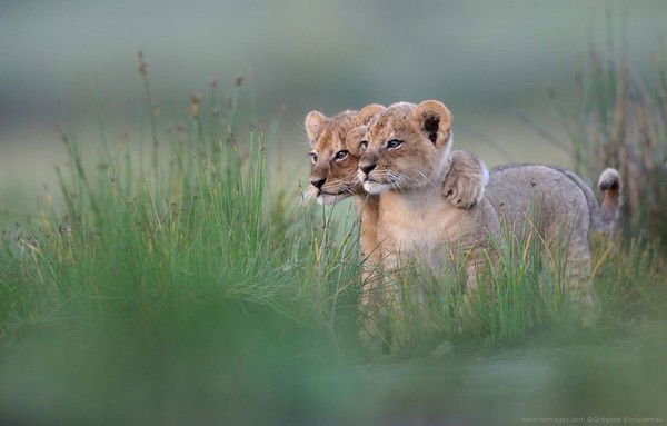 Рыскуль Маменова