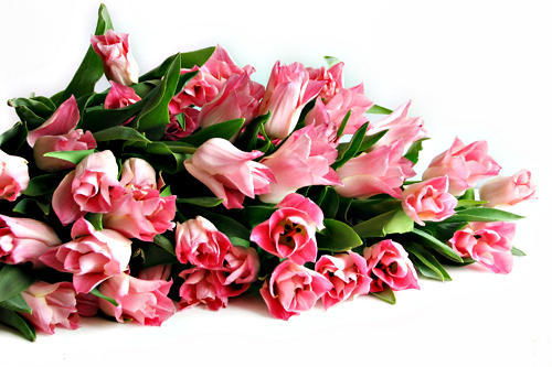 Ермек Махаева