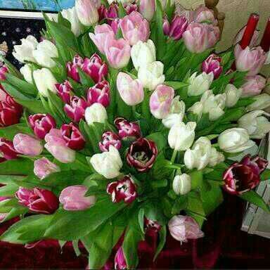 Макпал Ликерова