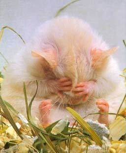 Светлана Светлана