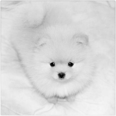 Ксюша Иванова