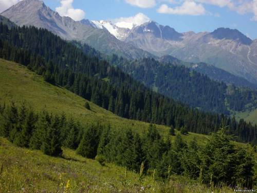 Нургуль Кошжанова