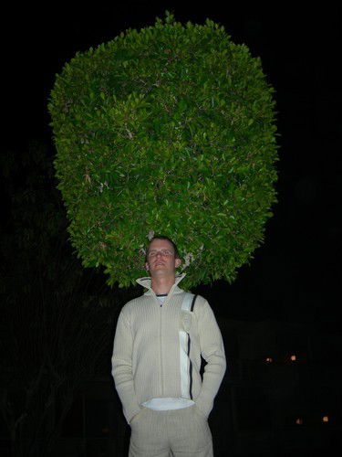 Алексей Воронин