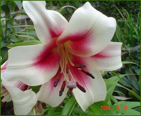 Лилия Зиннатуллина