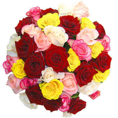 Алина Ижока Бакай