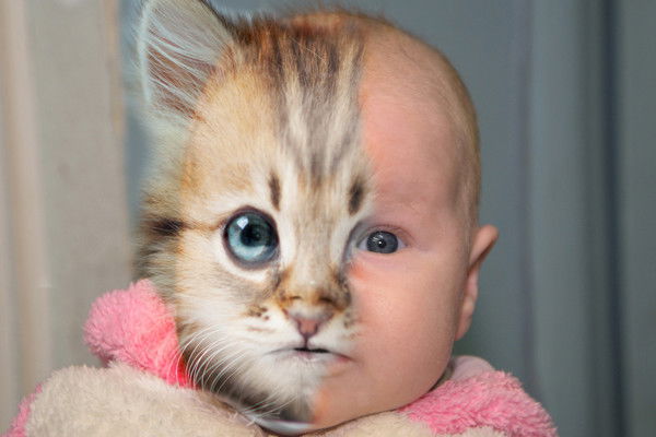 Елена Краснова