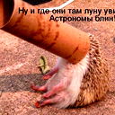 Данила Беляев