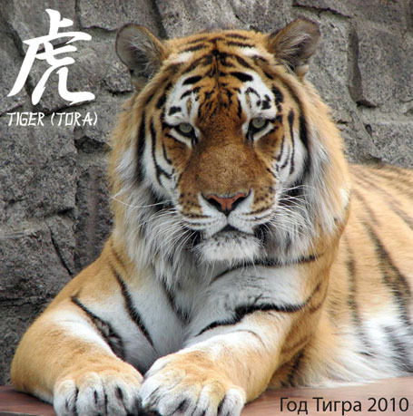 Добронрав Дорогой