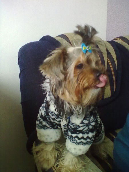 Алексей Алексеев