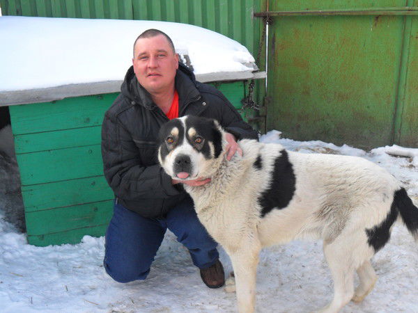 Дмитрий Антюшко