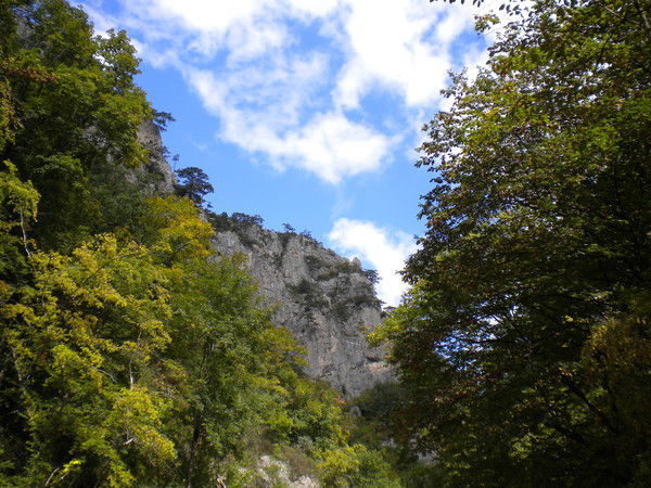 Нина Албанова