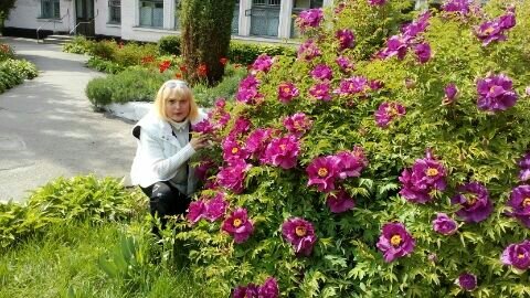 Лилия Журавель