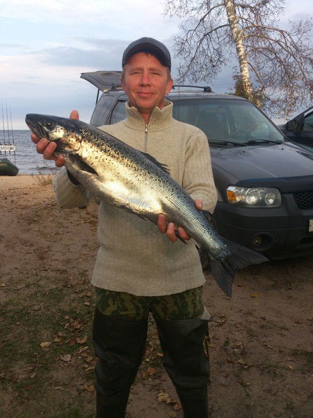 Николай Сударев