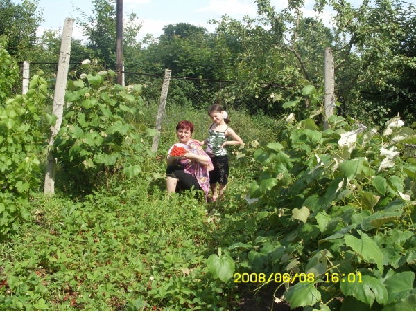 Габриела Пелин