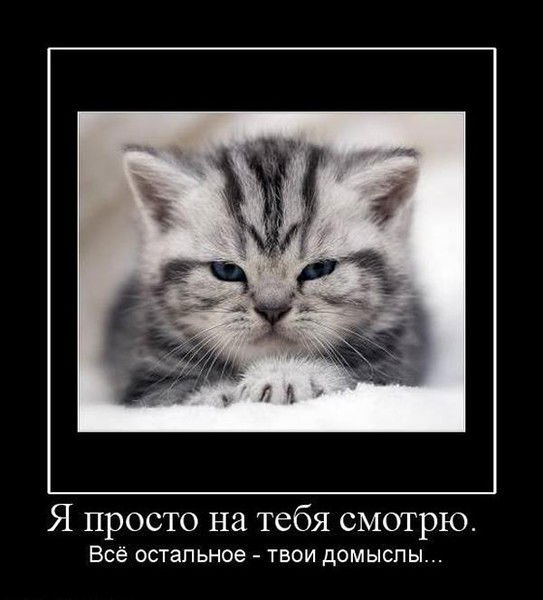 Леонид Щапин