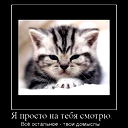 Леонид Щапин