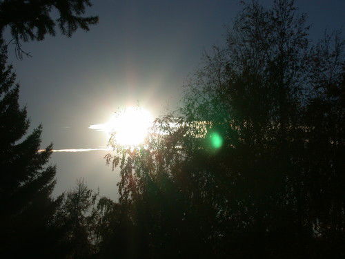 Андрей Новокшенов