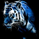 Максим Конин