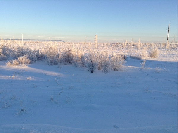 Олег Фахритдинов