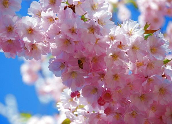 Екатерина Брагина