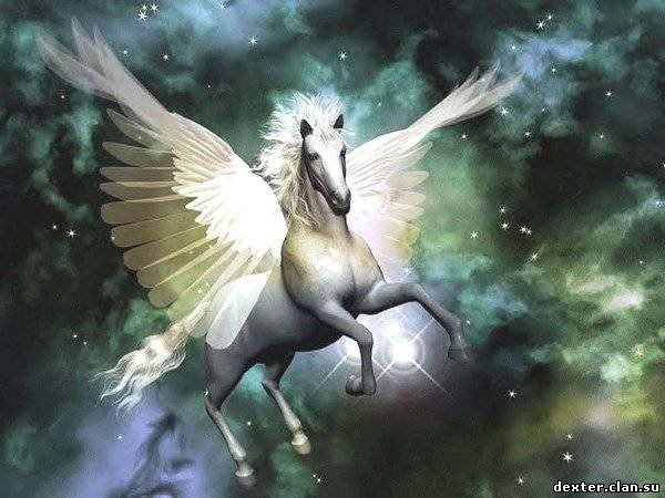 ***albina*** ***abdikova***