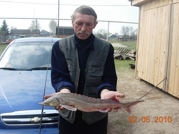 Виктор Девятов