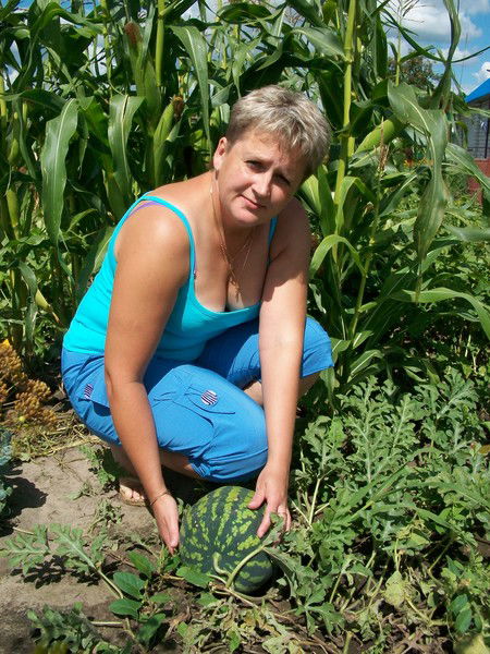 Елена Зайцева