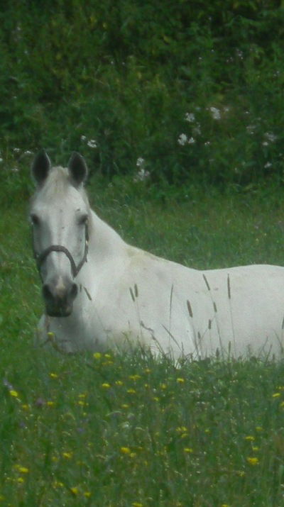 Ольга Струина