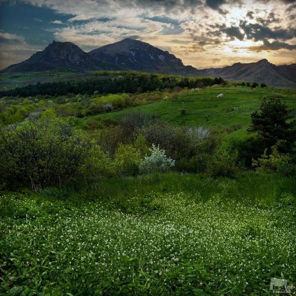 Лариса Юдина