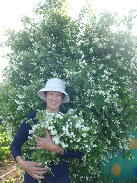 Надежда Комлева