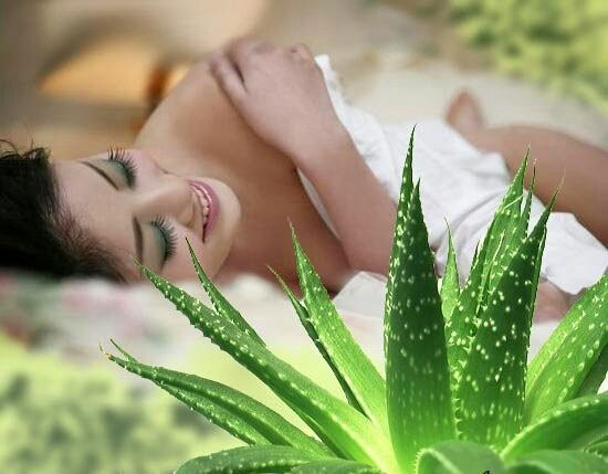 Продукция Из Алое Г. Кокшетау