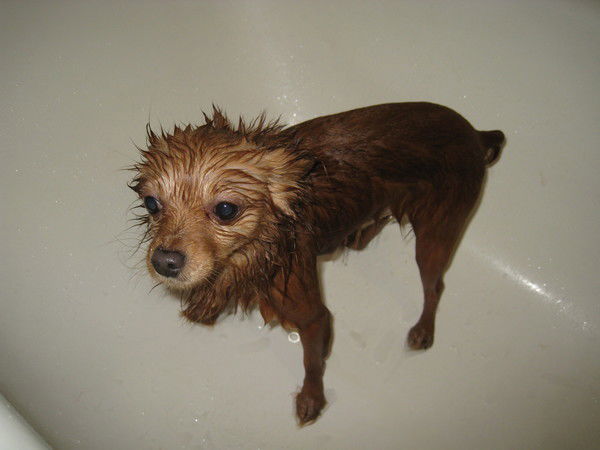 Татьяна Марчак