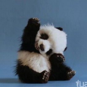 Инна Каминник