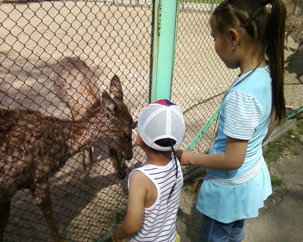 Жайна Айкенова