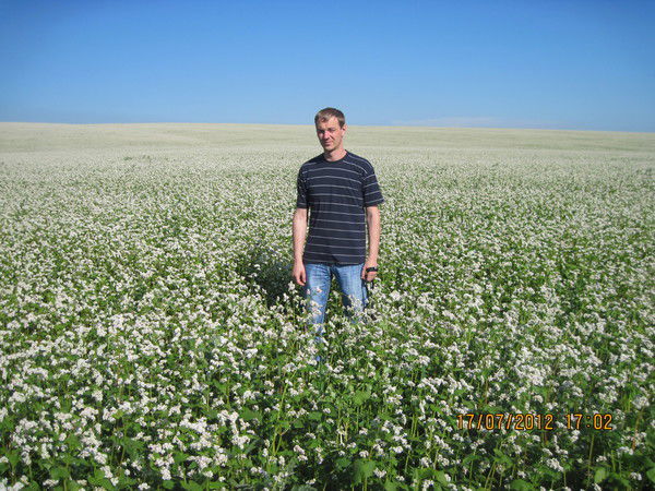 Роман Basmanovski