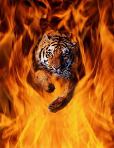 Максим Сипцов