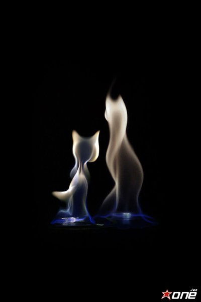 Елена Тажитдинова