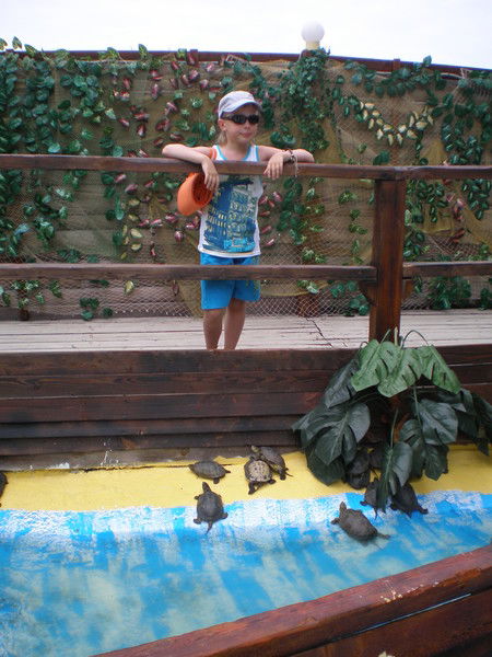 Роман Шакуля