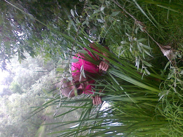 Димон Таворский