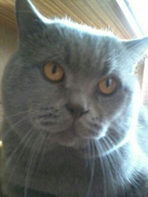 Эдуард Головко