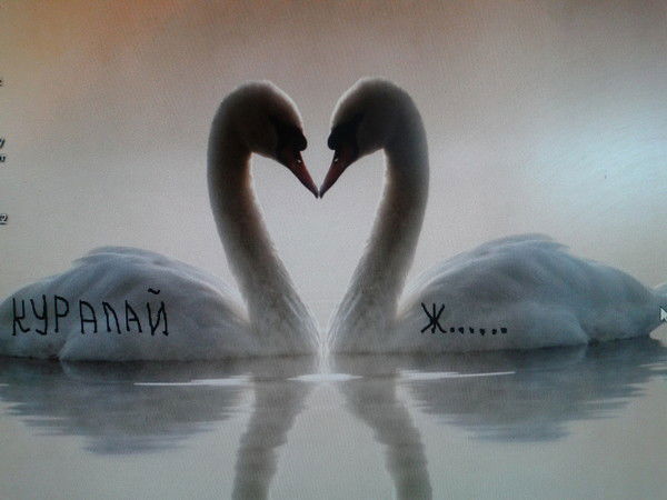 Куралай Ерболова