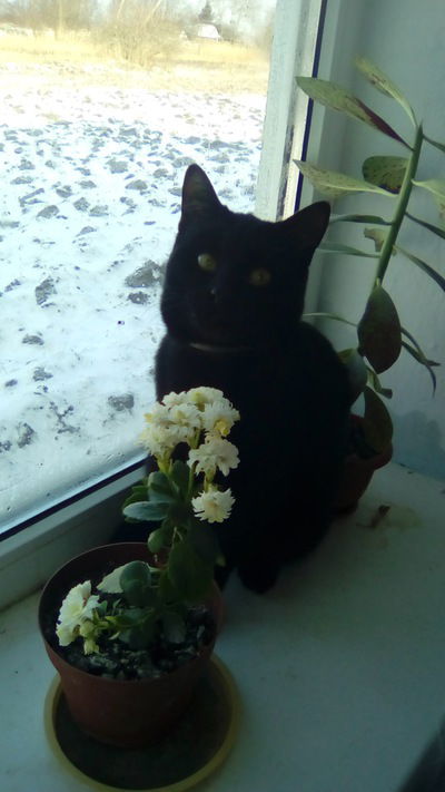 Антонина Винник