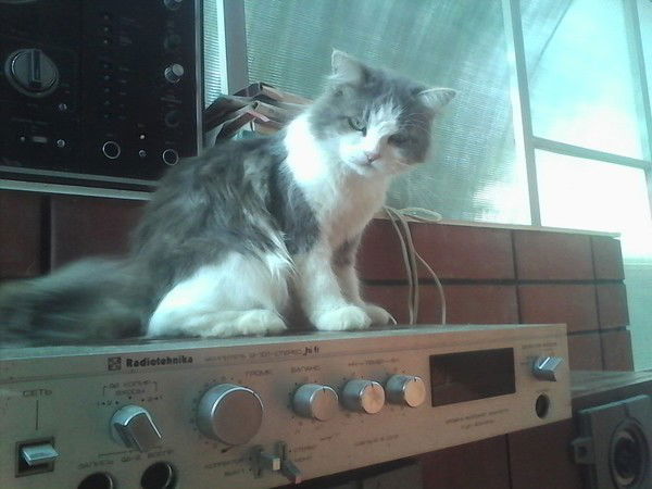 Антон Борисов