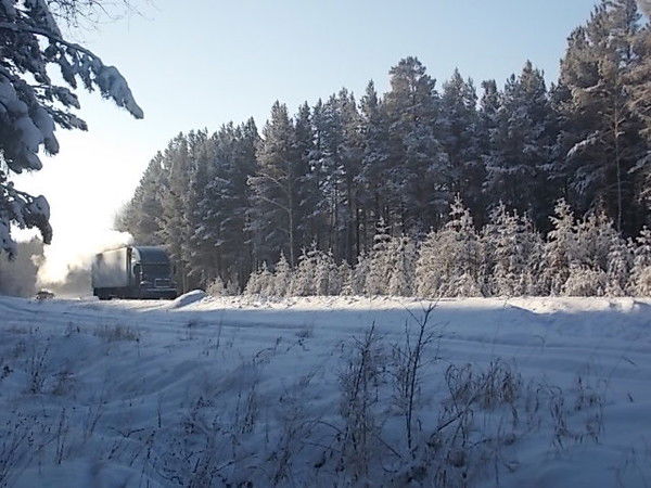 Светлана Лукьянова