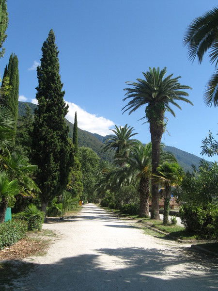 Наталья Сурикова(Чугреева)